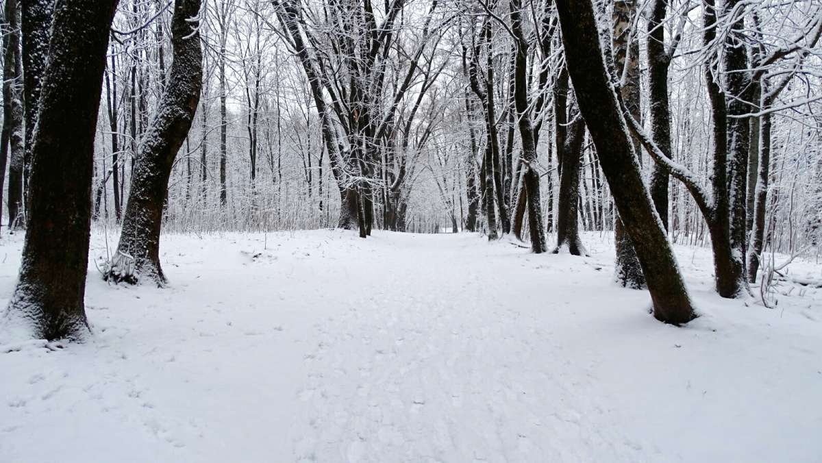 � ���������� �����. ����� �������� �������� �� PhotoGeek.ru #����� #������ ��� �������