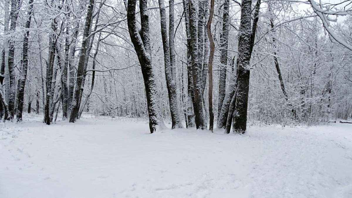 � ���������� �����. ����� �������� �������� �� PhotoGeek.ru #����� #������ ��� �������