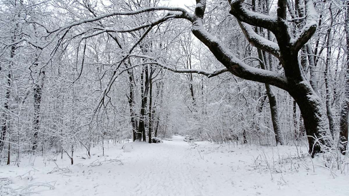 ����������� ������� ����. ����� �������� �������� �� PhotoGeek.ru #����� #������ ��� �������