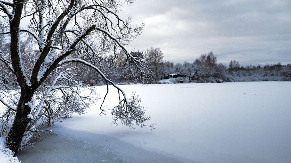 ��� ���������� ����. ����� �������� �������� �� PhotoGeek.ru #������ ��� �������