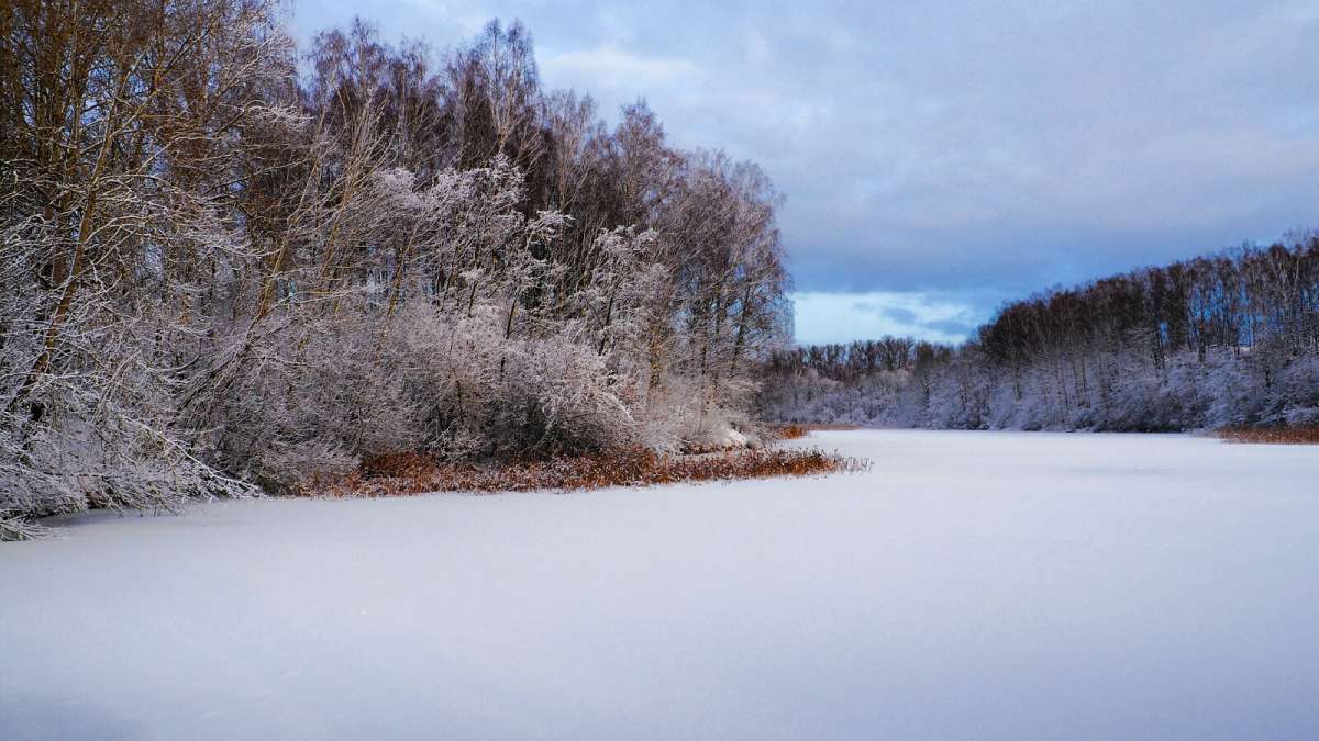 ���� - ������ ����� �������� �������� �� PhotoGeek.ru #������ ��� �������