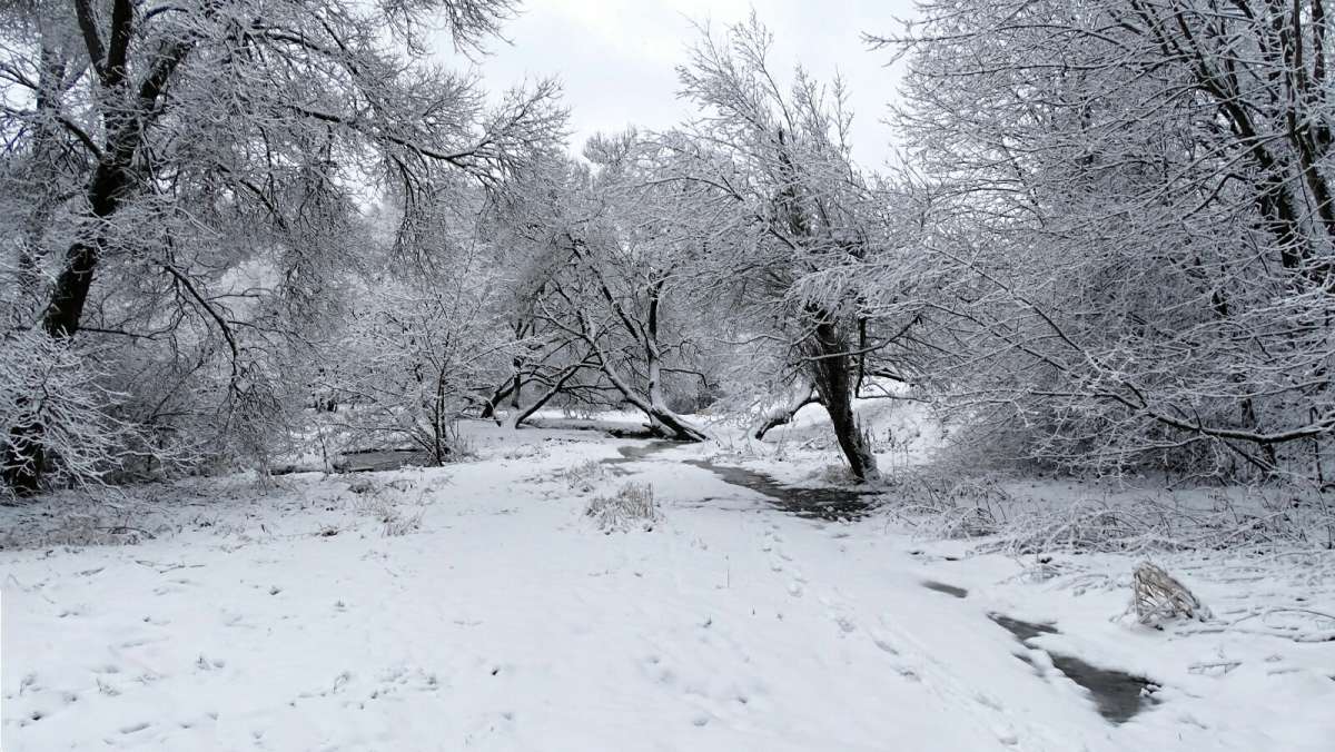 ������ ����. ����� �������� �������� �� PhotoGeek.ru #����� #������ ��� �������