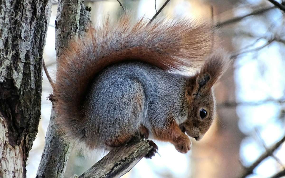 ������, ���������, �������� ��������. ����� �������� �������� �� PhotoGeek.ru #�������� ���