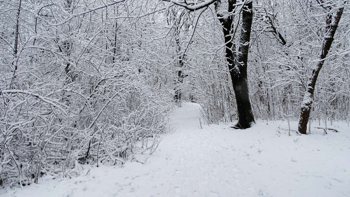 ���� � ��������� �����. ����� �������� �������� �� PhotoGeek.ru #����� #������ ��� �������