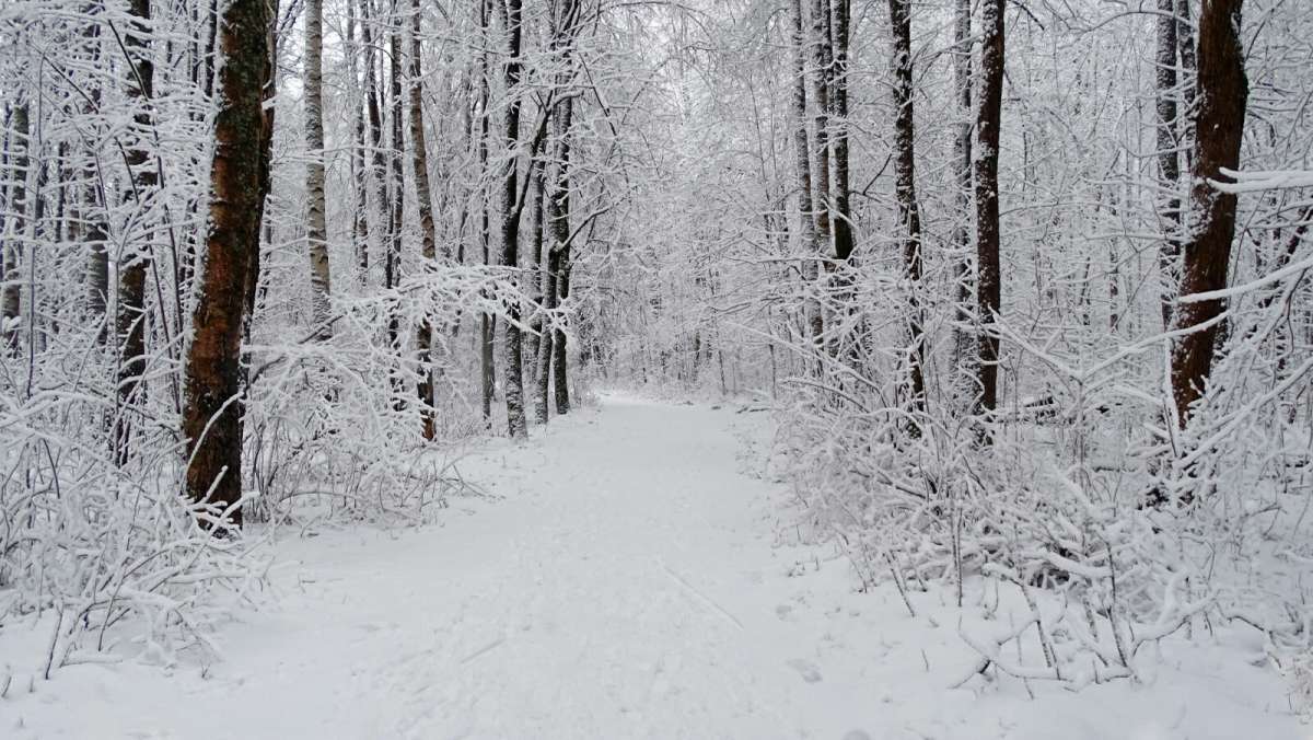 ������ ����. ����� �������� �������� �� PhotoGeek.ru #����� #������ ��� �������