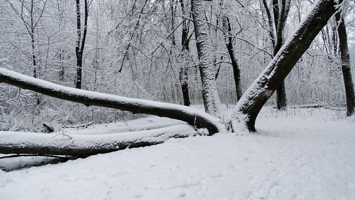 ������ ����. ����� �������� �������� �� PhotoGeek.ru #����� #������ ��� �������