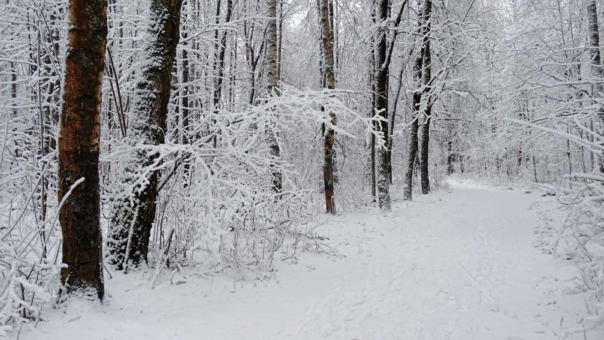 ������ ����. ����� �������� �������� �� PhotoGeek.ru #����� #������ ��� �������