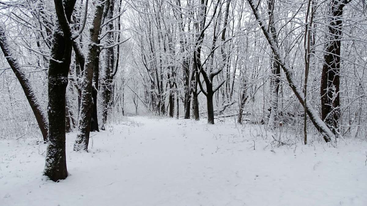 ���� � ��������� �����. ����� �������� �������� �� PhotoGeek.ru #����� #������ ��� �������