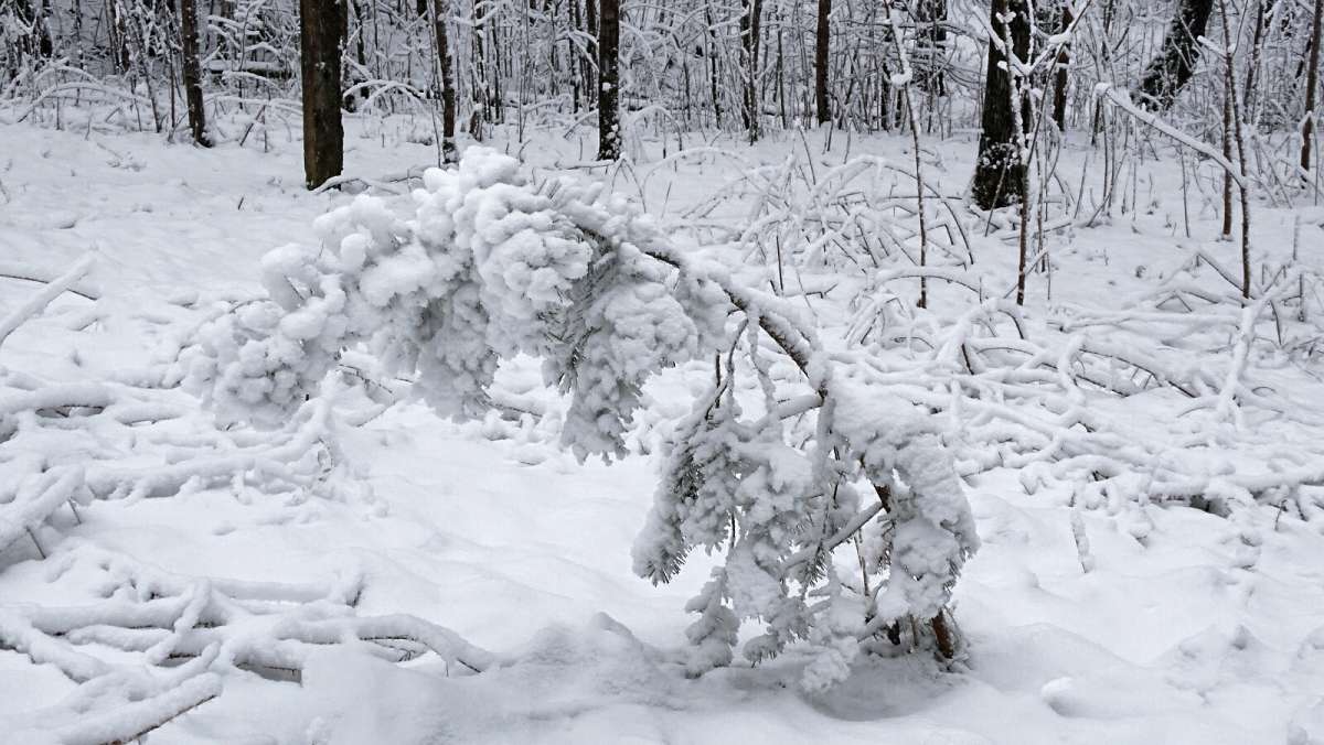 ����� ���������. ����� �������� �������� �� PhotoGeek.ru #����� #����� #������ ��� �������