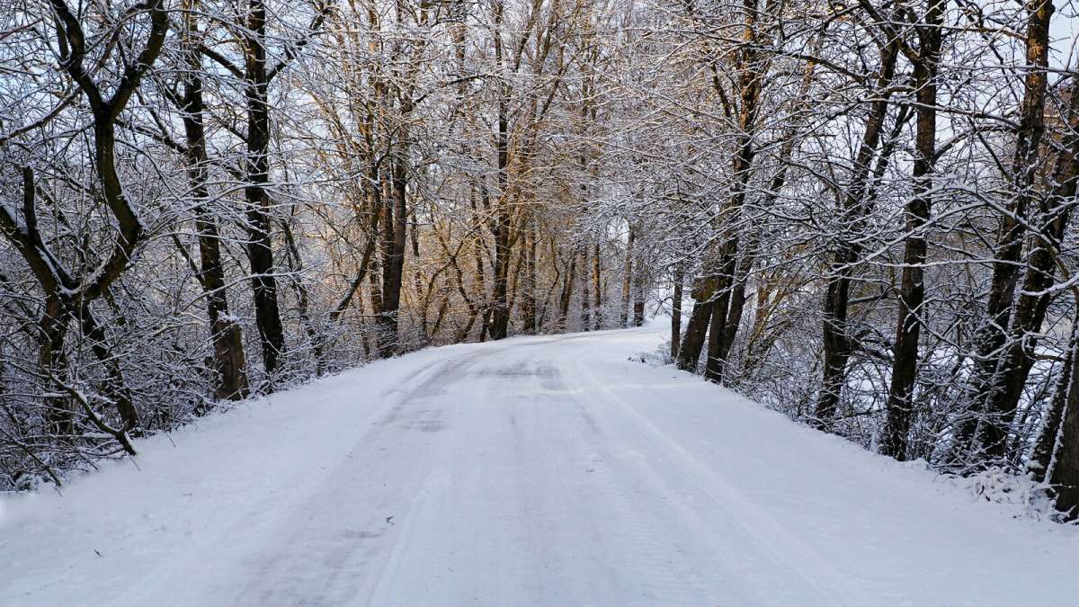 ������ � ������. ����� �������� �������� �� PhotoGeek.ru #������ ��� �������