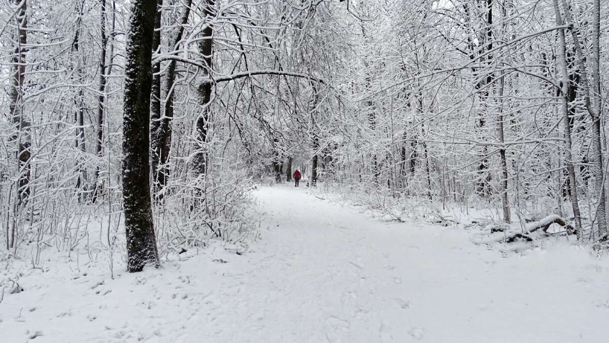 �������� ���������. ����� �������� �������� �� PhotoGeek.ru #����� #�����