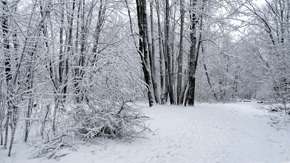 � ��������� �����. ����� �������� �������� �� PhotoGeek.ru #����� #������ ��� �������