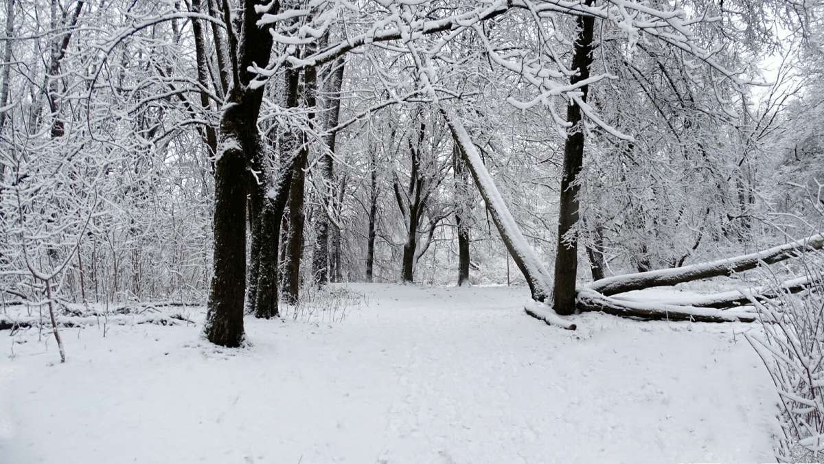 ���� � ��������� �����. ����� �������� �������� �� PhotoGeek.ru #����� #������ ��� �������