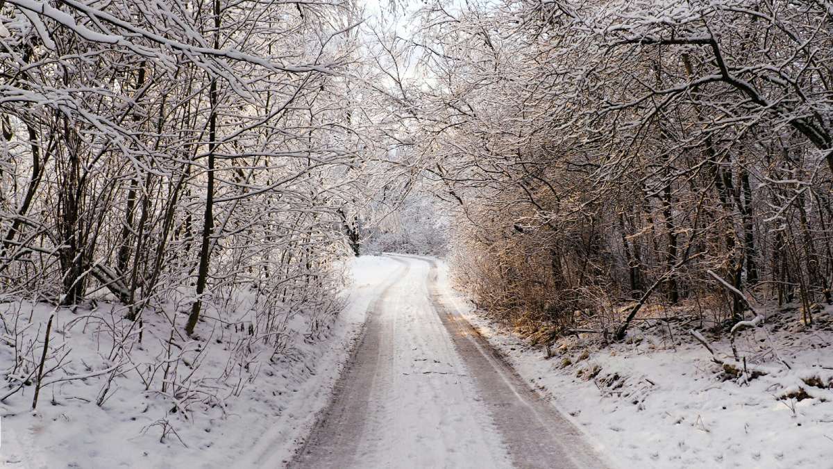 ��������� ������. ����� �������� �������� �� PhotoGeek.ru #������ ��� �������