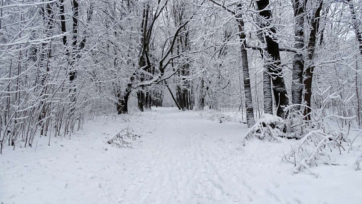 ������ ����. ����� �������� �������� �� PhotoGeek.ru #����� #������ ��� �������