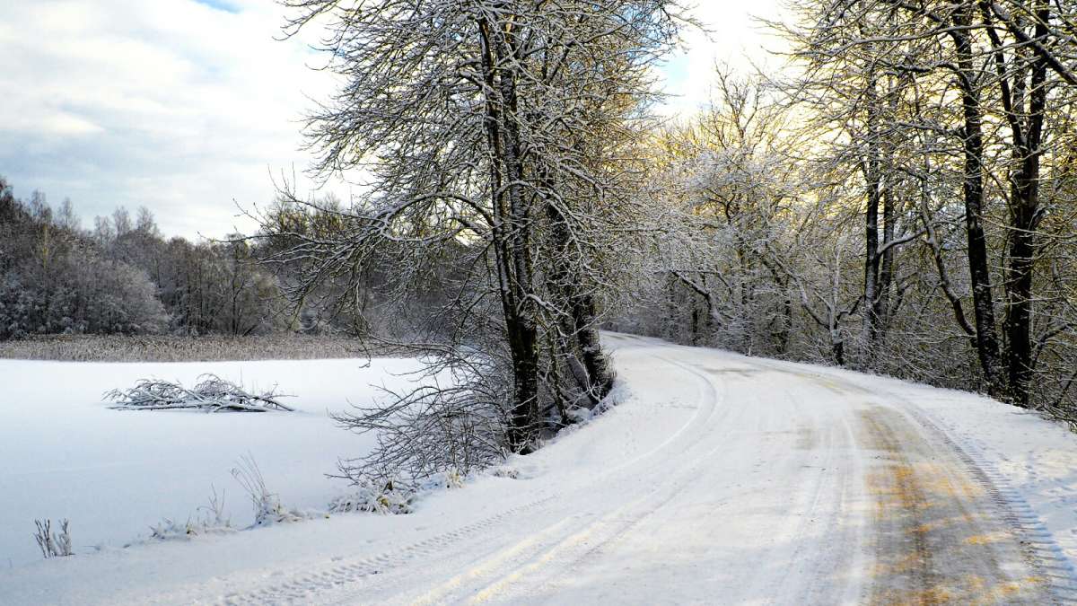 ������ �� ����� ����� �������� �������� �� PhotoGeek.ru #������ ��� �������