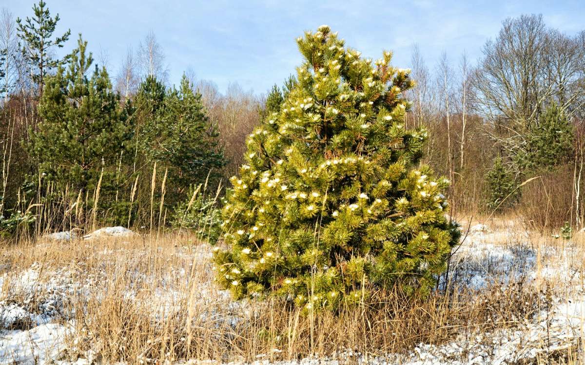 ���������� ��������� �� �������. ����� �������� �������� �� PhotoGeek.ru #����� #������ ��� �������