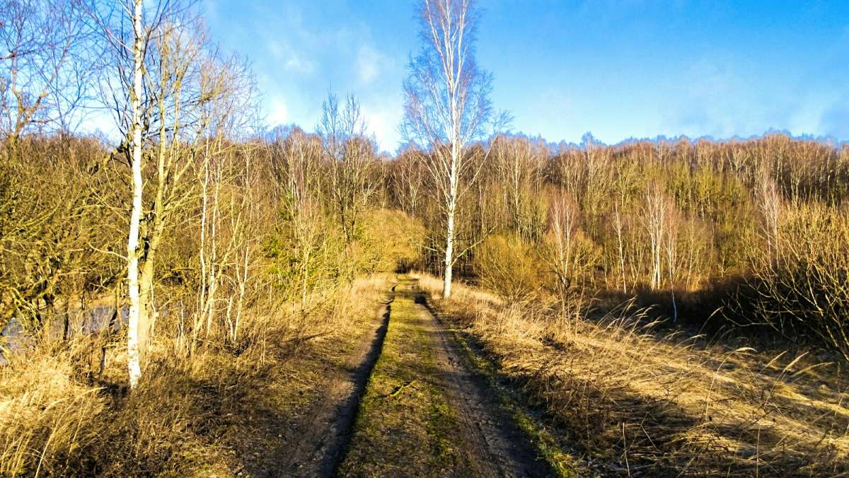 ����� ������ � ������. ����� �������� �������� �� PhotoGeek.ru #������ ��� �������