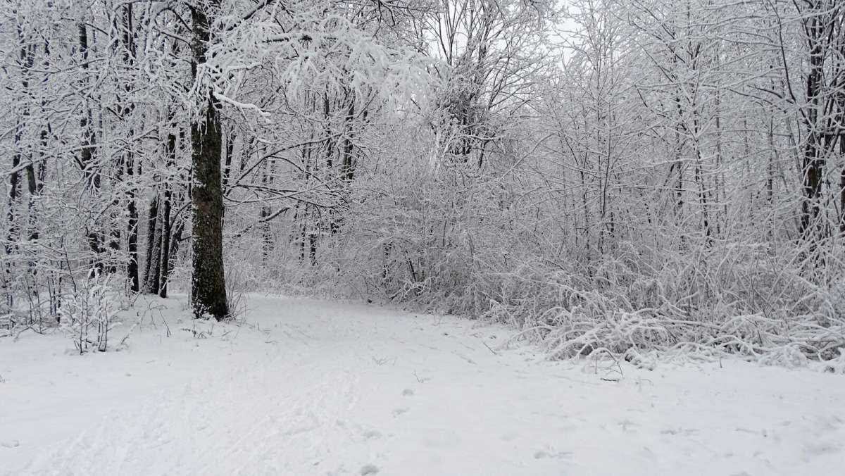 ��������� ���� 11 ������ �.�. ����� �������� �������� �� PhotoGeek.ru #����� #������ ��� �������