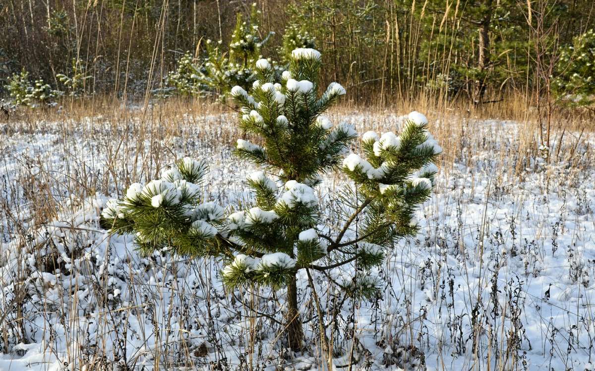 ������� � ������ ������. ����� �������� �������� �� PhotoGeek.ru #������ ��� �������