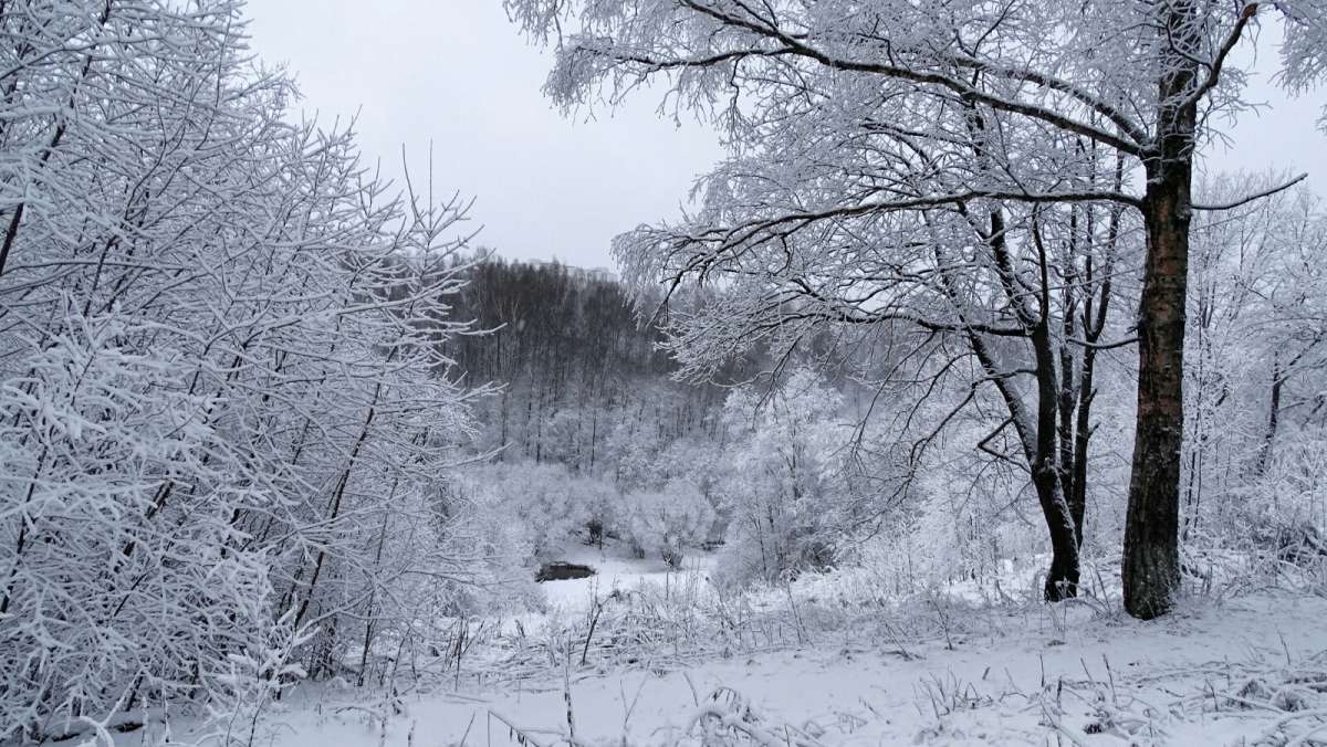 ������ ���� ����� �������� �������� �� PhotoGeek.ru #����� #������ ��� �������