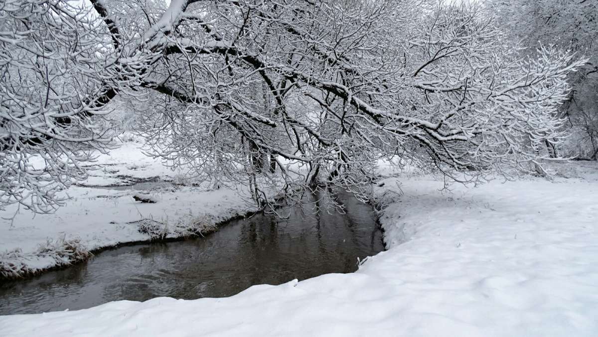 ���� - ������� ����� �������� �������� �� PhotoGeek.ru #����� #������ ��� �������