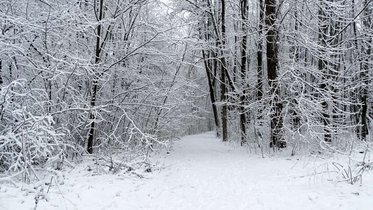 � ��������� �����. ����� �������� �������� �� PhotoGeek.ru #����� #������ ��� �������