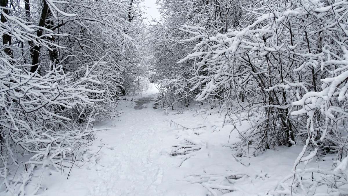 �������, ������� �� ����. ����� �������� �������� �� PhotoGeek.ru #����� #������ ��� �������