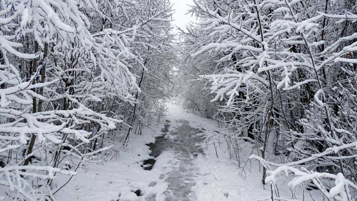 ���� ��� ������ � �������, ����� �������� �������� �� PhotoGeek.ru #����� #������ ��� �������