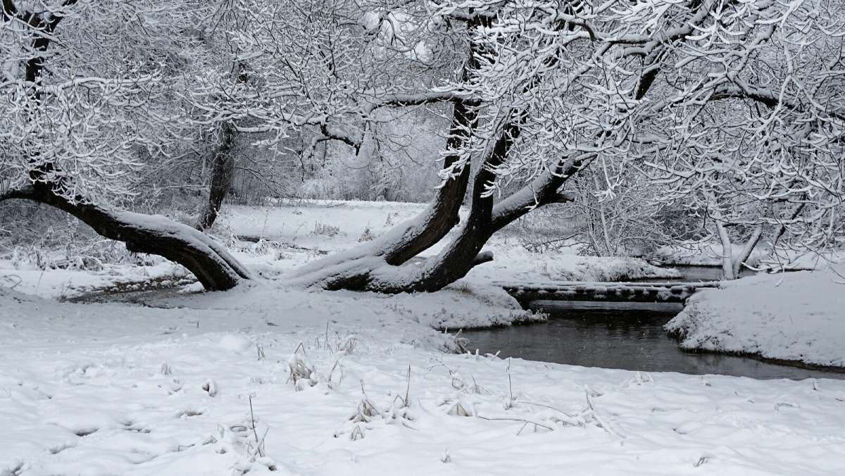 � ���������� ����� ����� �������� �������� �� PhotoGeek.ru #����� #������ ��� �������