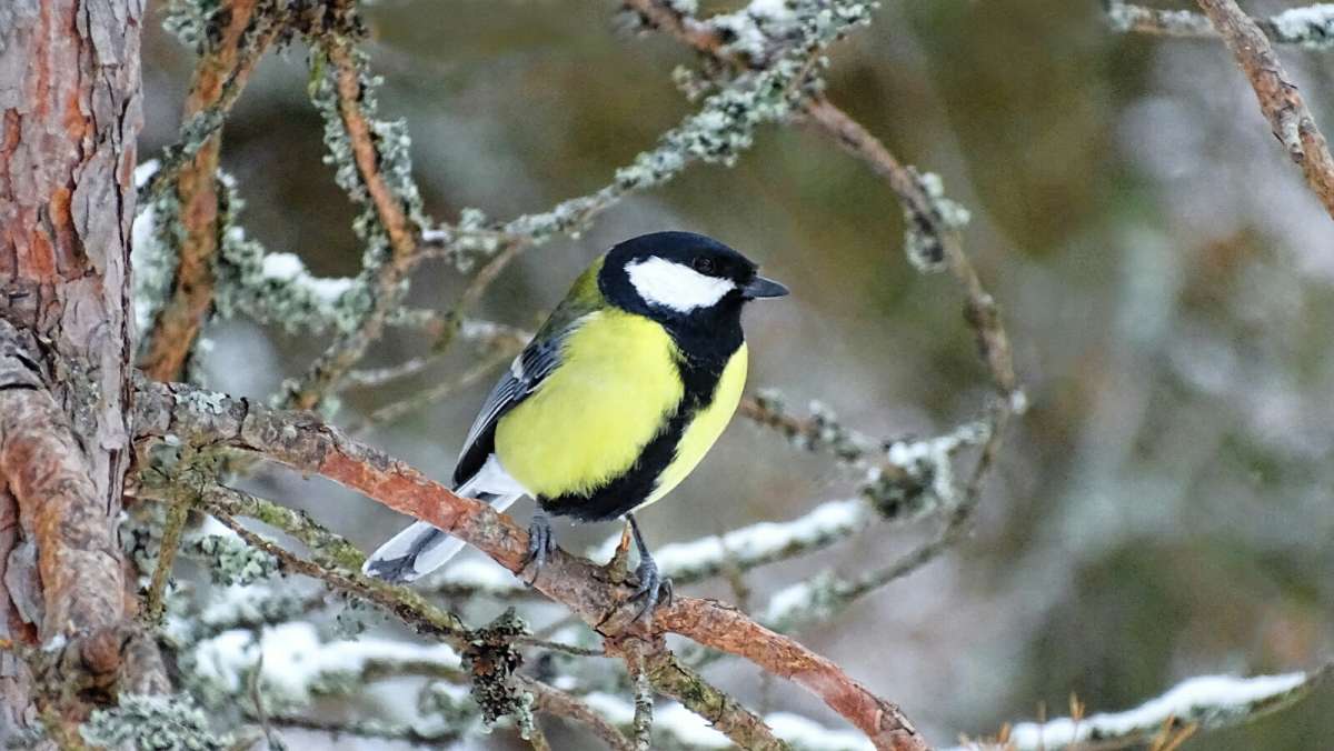 ������� ������. ����� �������� �������� �� PhotoGeek.ru #�������� ���