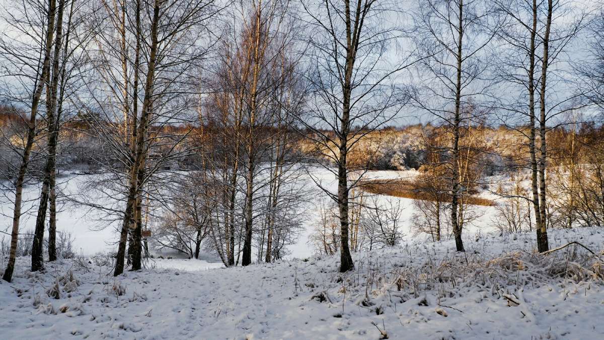 ������ �� ������ � ���� ���� ������. ����� �������� �������� �� PhotoGeek.ru #������ ��� �������