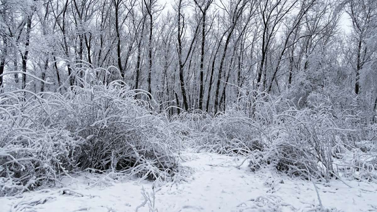 � ��������� �����. ����� �������� �������� �� PhotoGeek.ru #����� #������ ��� �������