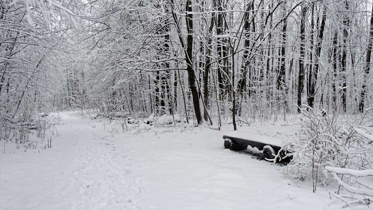 ������ ����. ����� �������� �������� �� PhotoGeek.ru #����� #������ ��� �������