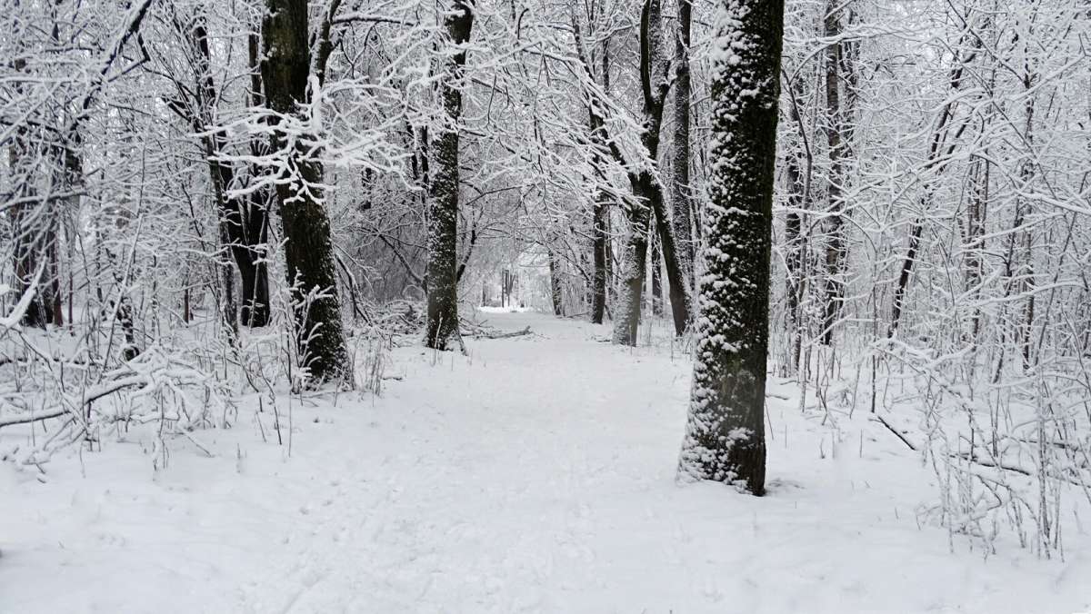 ������ ����. ����� �������� �������� �� PhotoGeek.ru #����� #������ ��� �������