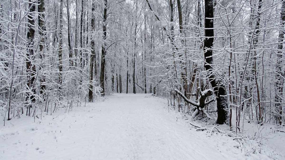 ������ ���� ����� �������� �������� �� PhotoGeek.ru #����� #������ ��� �������