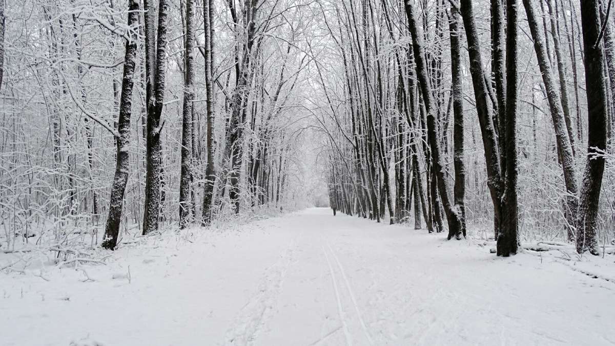 ������ ���� ����� �������� �������� �� PhotoGeek.ru #����� #������ ��� �������