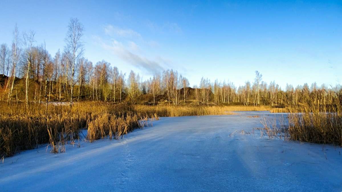 ����� ������ �� ���� 24  ����. ����� �������� �������� �� PhotoGeek.ru #������ ��� �������