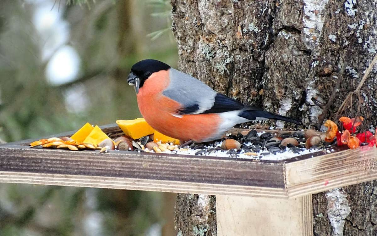 ��� �� ��� ������ �����. ����� �������� �������� �� PhotoGeek.ru #�������� ���