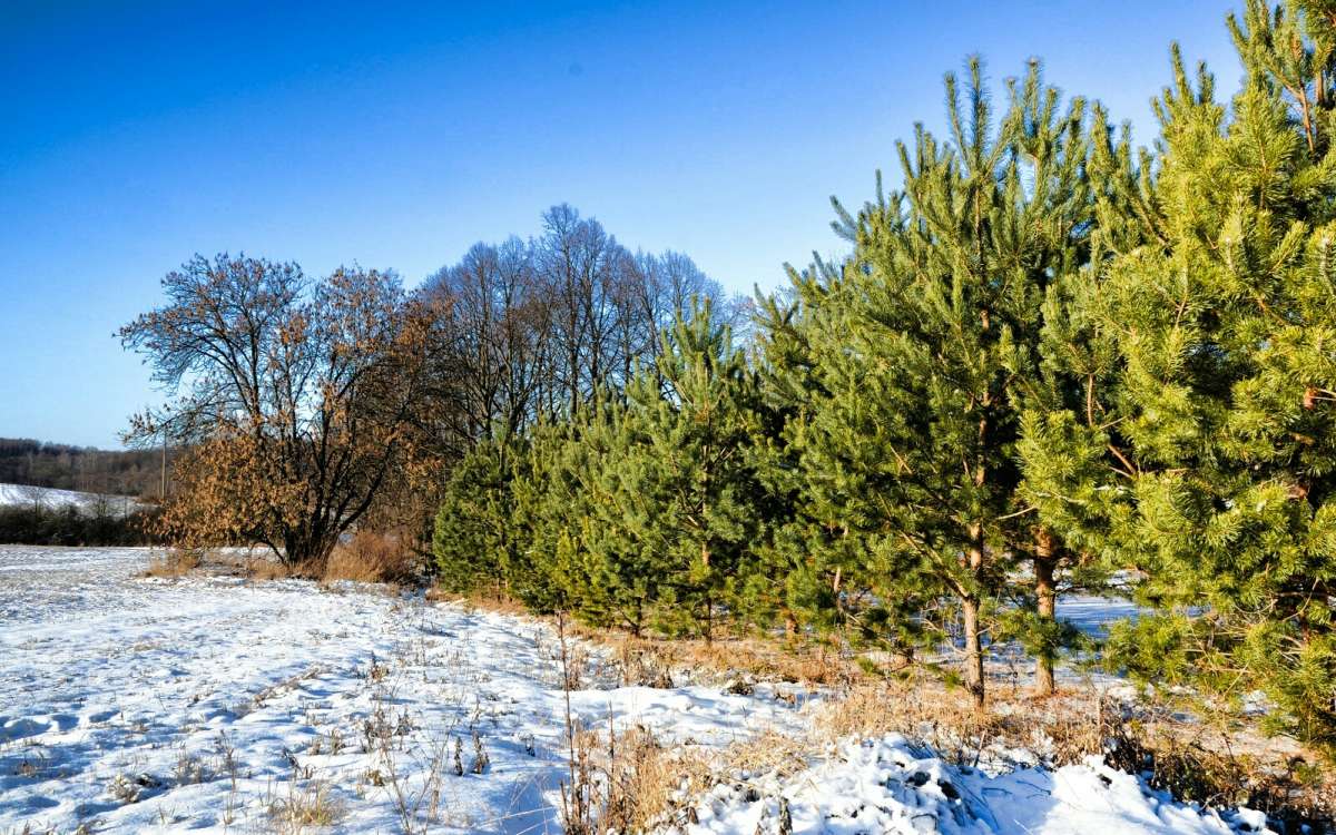 ������� ����� � ������. ����� �������� �������� �� PhotoGeek.ru #������ ��� �������