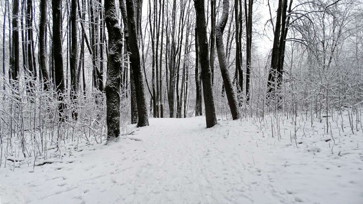 ׸��� - ����� ����. ����� �������� �������� �� PhotoGeek.ru #������ ��� �������