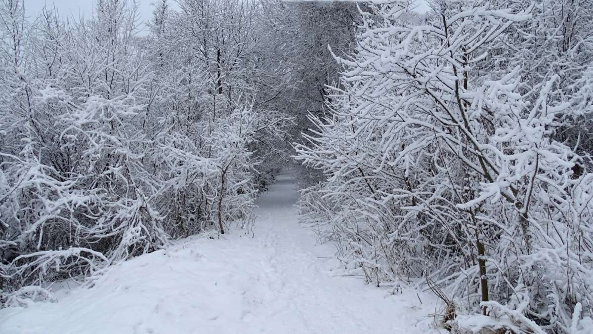 � ��������� �����. ����� �������� �������� �� PhotoGeek.ru #����� #������ ��� �������