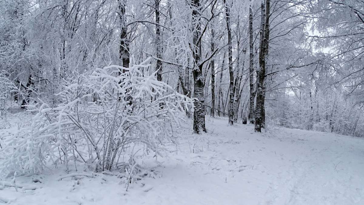 � ��������� �����. ����� �������� �������� �� PhotoGeek.ru #����� #������ ��� �������