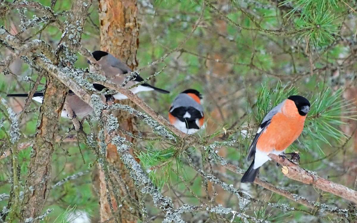 ������ ��������. ����� �������� �������� �� PhotoGeek.ru #�������� ���