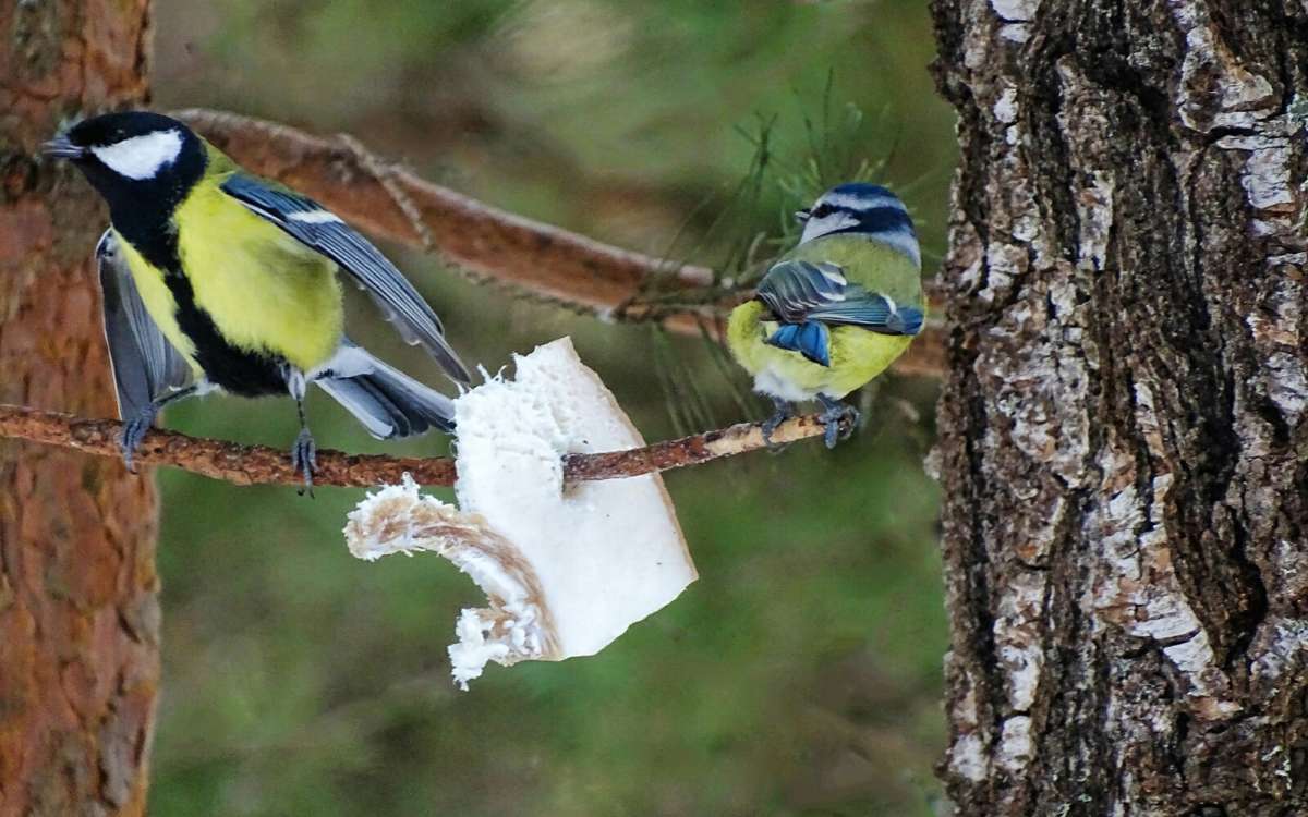 �� ������� �����������. ����� �������� �������� �� PhotoGeek.ru #�������� ���