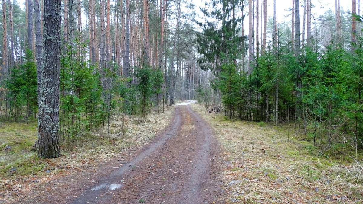 �������� ��� � ����� ������. ����� �������� �������� �� PhotoGeek.ru #������ ��� �������