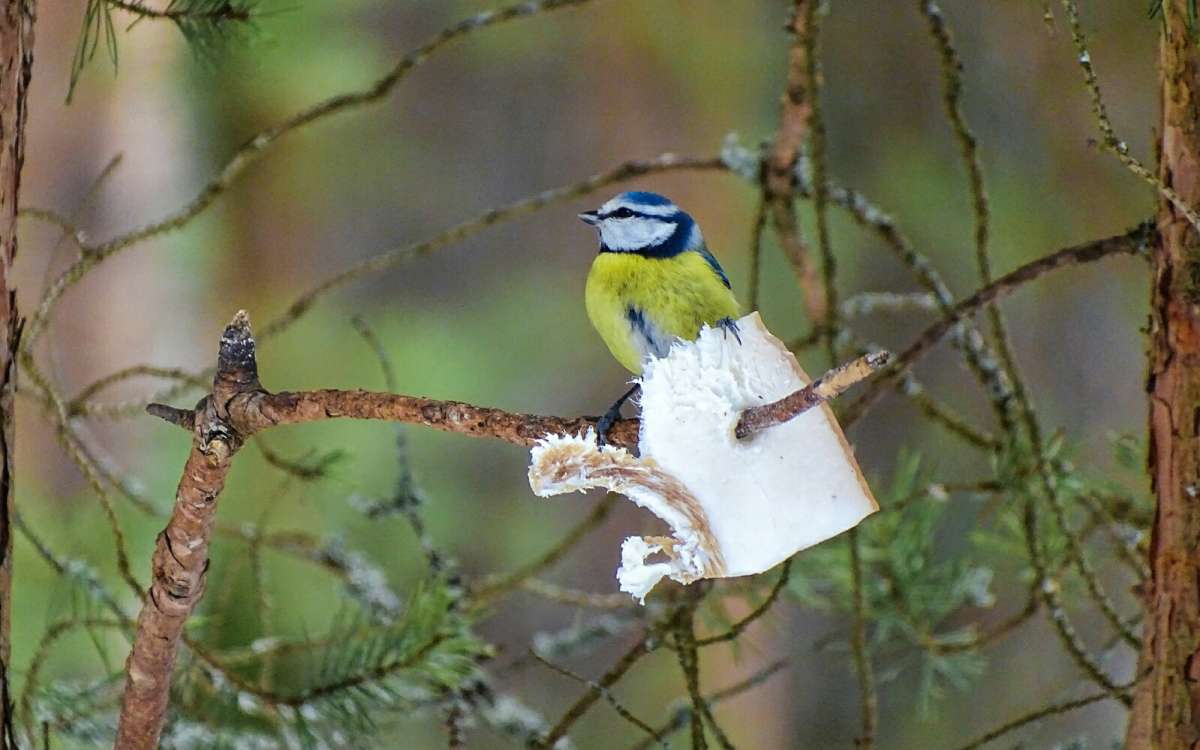 "���� �� ��! " ����� �������� �������� �� PhotoGeek.ru #�������� ���