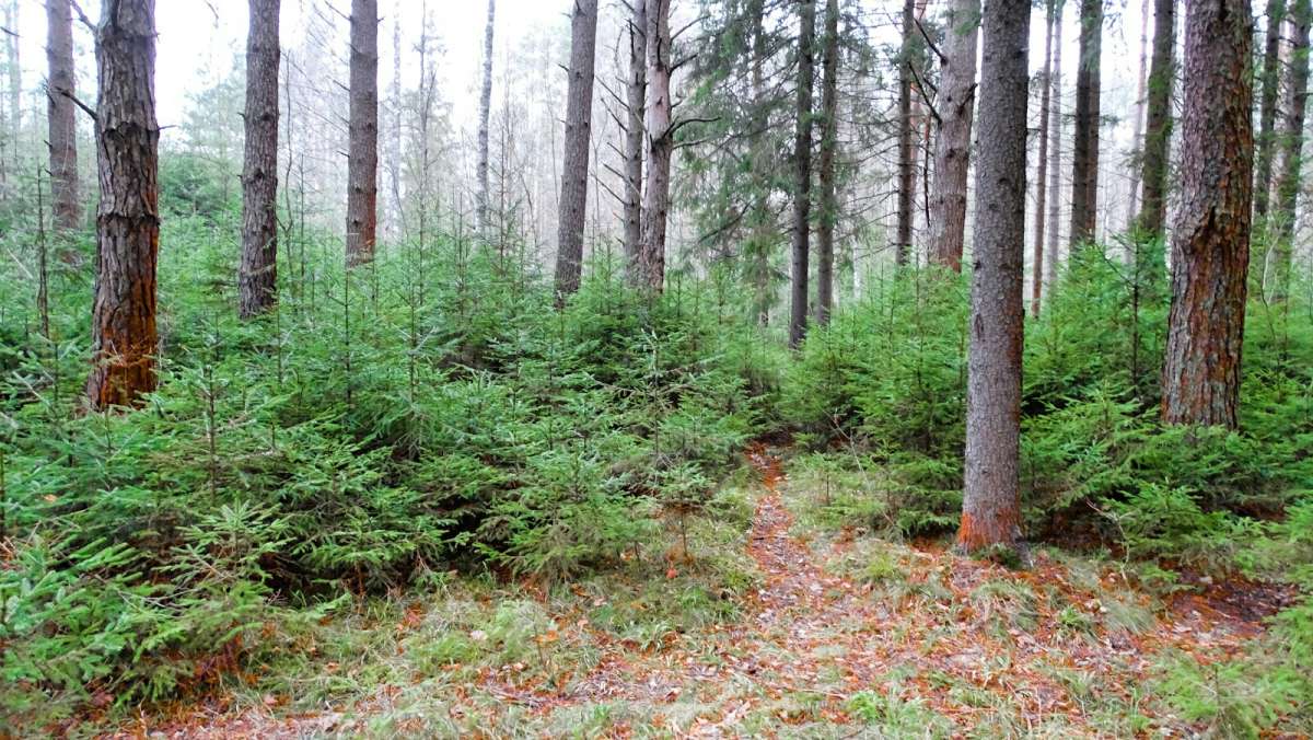 ���������� ���������� �����. ����� �������� �������� �� PhotoGeek.ru #������ ��� �������