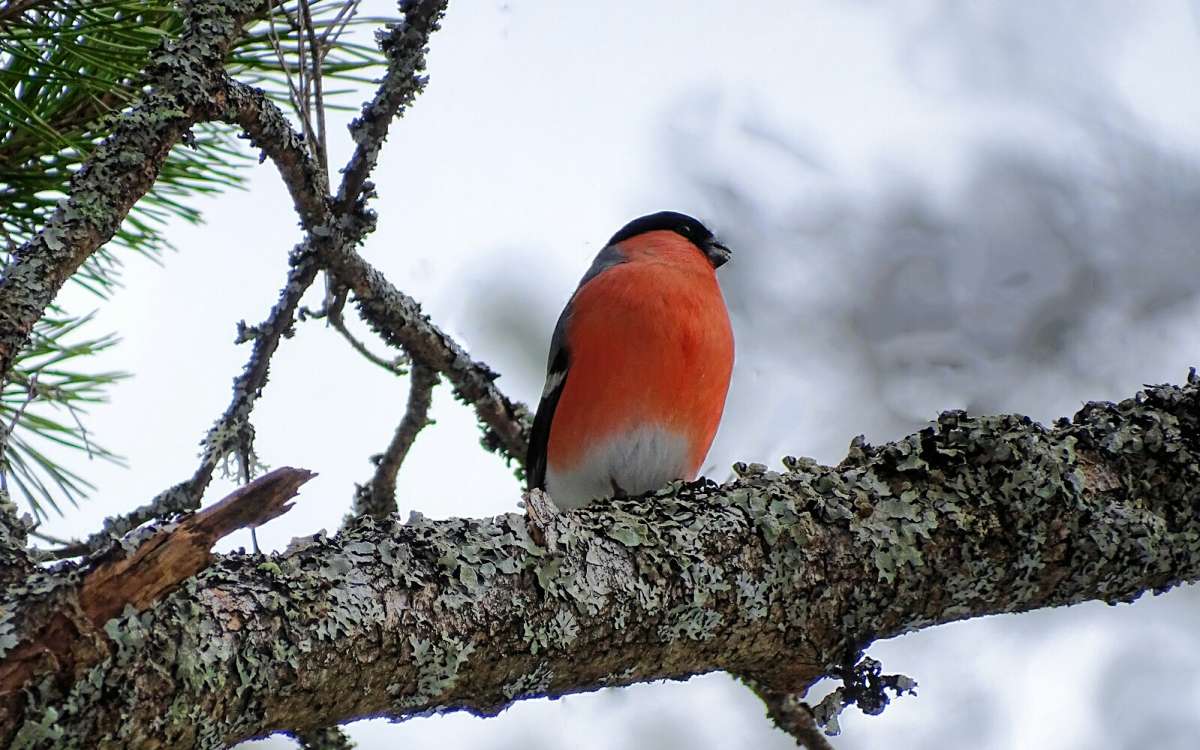 "�����������" ����� �������� �������� �� PhotoGeek.ru #�������� ���