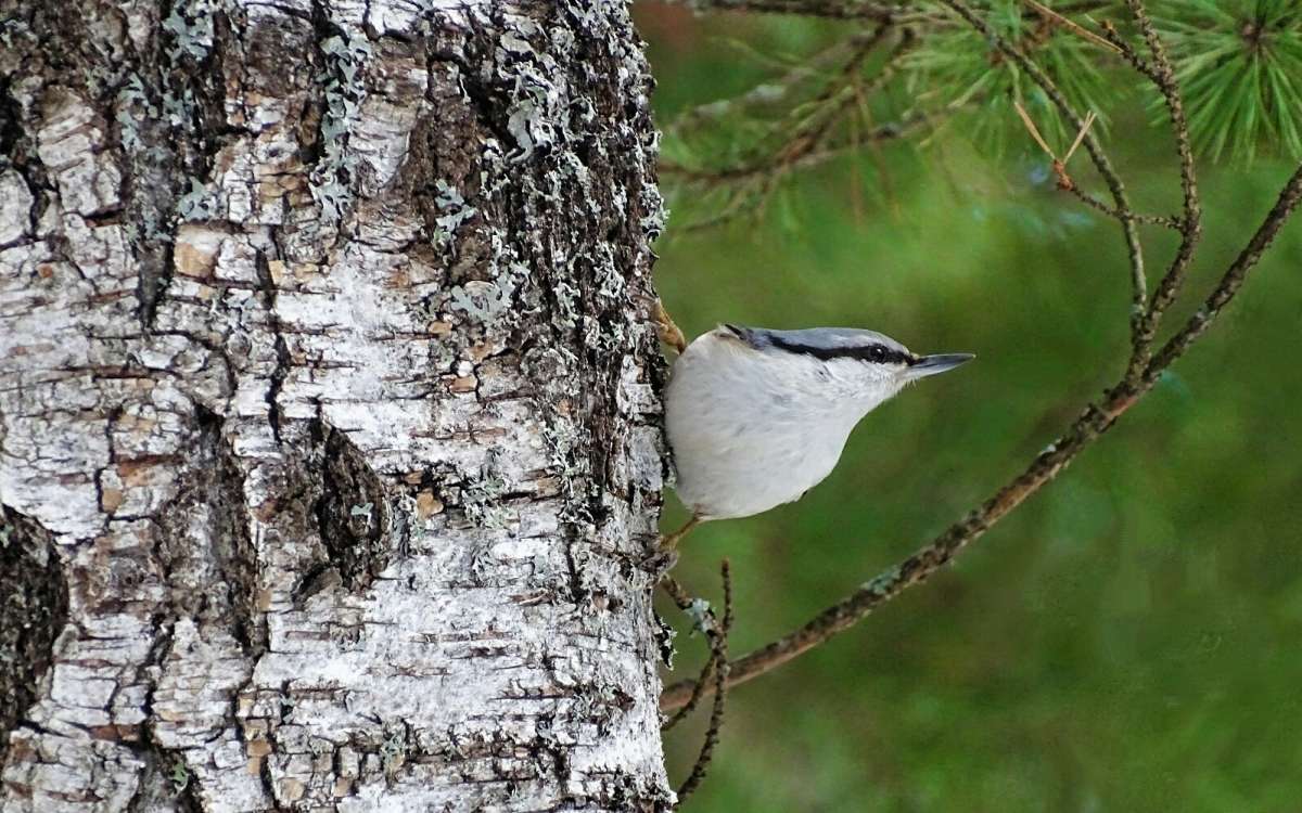 ������ ���������� - ���������. ����� �������� �������� �� PhotoGeek.ru #�������� ���